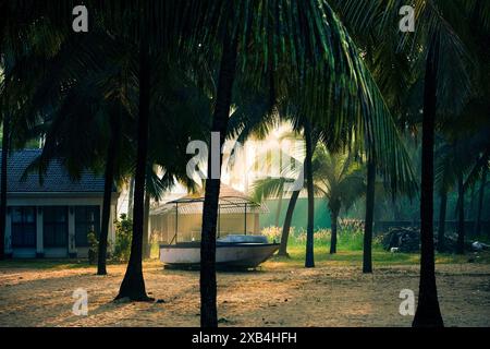 Cette image capture l'atmosphère sereine d'une soirée tropicale, où la lumière dorée du soleil couchant filtre à travers les palmiers. Support pour bateau Banque D'Images