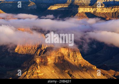 Matin d'hiver au-dessus du parc national du Grand Canyon vu de Mather point sur la rive sud Banque D'Images