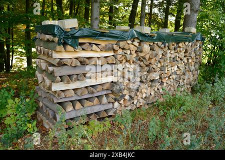 Pile de bois de chauffage soigneusement empilé et couvert dans un cadre forestier, Bavière Banque D'Images