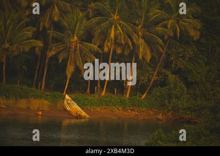 Une photographie sereine capturant une scène tranquille au bord de la rivière au crépuscule. L'image montre un bateau abandonné reposant sur le rivage au milieu d'une végétation luxuriante et t Banque D'Images