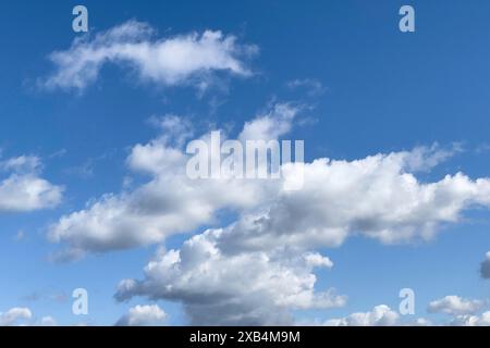 Altocumulus tas nuages arrachés par le vent devant le ciel bleu, international Banque D'Images