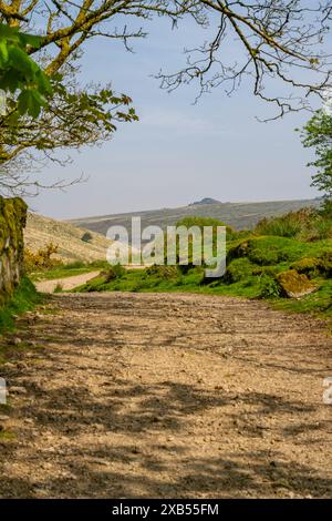 Le sentier de Wistman's Wood et Longford Tor depuis Two Bridges Banque D'Images