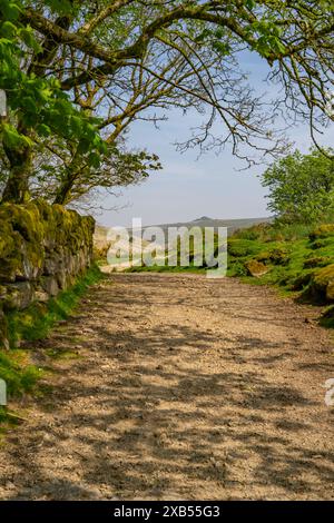 Le sentier de Wistman's Wood et Longford Tor depuis Two Bridges Banque D'Images