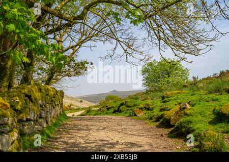 Le sentier de Wistman's Wood et Longford Tor depuis Two Bridges Banque D'Images