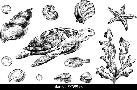 Tortue, coquillages, étoiles de mer, poissons, bulles, cailloux et autres animaux marins et plantes. Illustration graphique dessinée à la main à l'encre noire. Ensemble de isolé Illustration de Vecteur