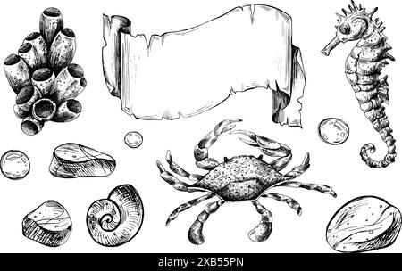 Hippocampe, crabe, coquillages, étoiles de mer, poissons, bulles, cailloux et autres animaux marins. Illustration graphique dessinée à la main à l'encre noire. Ensemble d'objets isolés Illustration de Vecteur