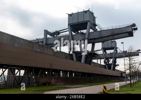 La centrale d'Ameer centrale une énorme tour de refroidissement marque l'emplacement à l'intérieur du paysage de la centrale d'Ameer centrale, alimentée par du charbon fossile noir. La centrale électrique est en transition vers la bio-masse comme combustible. Geertruidenberg, pays-Bas. Geertruidenberg Amer centrale Noord-Brabant Nederland Copyright : xGuidoxKoppesxPhotox Banque D'Images