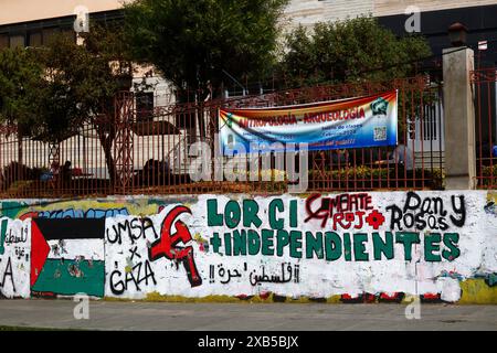 Murale du Parti communiste bolivien montrant son soutien à la Palestine près de la principale université de l'UMSA dans le centre de la Paz, Bolivie. Depuis 2009, le gouvernement bolivien s'est de plus en plus aligné sur la Palestine et a adopté une position anti-israélienne. Le gouvernement rompt les relations diplomatiques avec Israël le 31 octobre 2023 pour protester contre le bilan palestinien de la guerre Israël-Hamas, devenant l'une des premières Nations à le faire. Banque D'Images