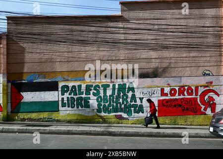 Une femme passe devant une murale du Parti communiste bolivien exigeant une Palestine libre, ouvrière et socialiste sur un mur dans le centre de la Paz, en Bolivie. Depuis 2009, le gouvernement bolivien s'est de plus en plus aligné sur la Palestine et a adopté une position anti-israélienne. Le gouvernement rompt les relations diplomatiques avec Israël le 31 octobre 2023 pour protester contre le bilan palestinien de la guerre Israël-Hamas, devenant l'une des premières Nations à le faire. Banque D'Images
