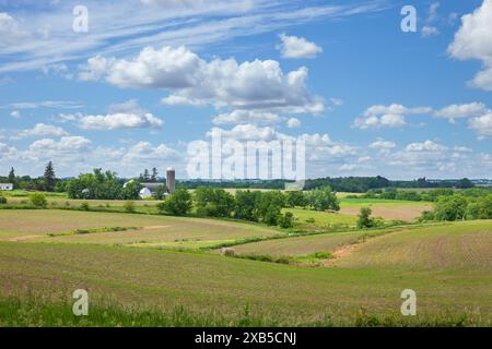 Ferme et terres agricoles de l'Iowa sur une belle journée à la fin du printemps Banque D'Images