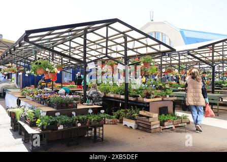 Étals de fleurs, fruits et légumes au marché central historique de Riga, à l'extérieur de deux hangars historiques de zeppelin, en Lettonie, pays baltes. Banque D'Images