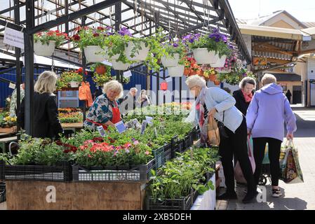 Étals de fleurs, fruits et légumes au marché central historique de Riga, à l'extérieur de deux hangars historiques de zeppelin, en Lettonie, pays baltes. Banque D'Images