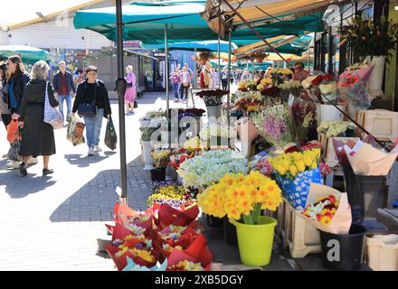 Étals de fleurs, fruits et légumes au marché central historique de Riga, à l'extérieur de deux hangars historiques de zeppelin, en Lettonie, pays baltes. Banque D'Images