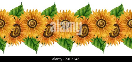 Bordure sans couture de tournesol aquarelle. Bannière florale avec des fleurs jaunes. Composition florale estivale. Arrangement de fleurs d'automne. Botanique dessiné à la main Banque D'Images