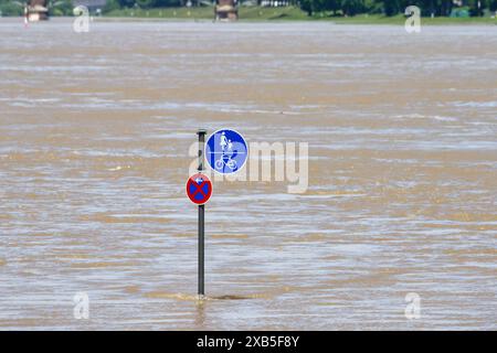 un panneau de signalisation pas d'arrêt et une piste piétonne et cyclable au milieu des inondations du rhin à cologne Banque D'Images