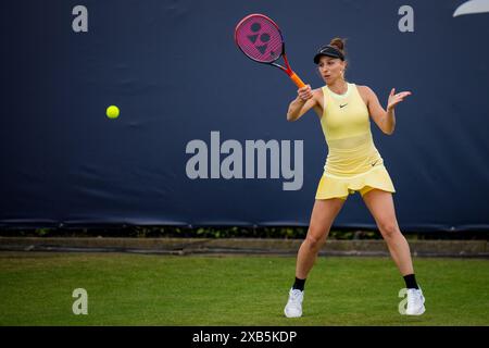 'S-HERTOGENBOSCH, PAYS-BAS - 10 JUIN : Tamara Korpatsch, d'Allemagne, joue un premier match féminin en simple contre Donna Vekic, de Croatie, le jour 1 des Championnats Libema Open Grass court à l'Autotron le 10 juin 2024 à 's-Hertogenbosch, pays-Bas (photo de Rene Nijhuis/BSR Agency) crédit: BSR Agency/Alamy Live News Banque D'Images