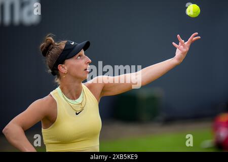 'S-HERTOGENBOSCH, PAYS-BAS - 10 JUIN : Tamara Korpatsch d'Allemagne sert dans son match de simple féminin contre Donna Vekic de Croatie le jour 1 des Championnats Libema Open Grass court à l'Autotron le 10 juin 2024 à 's-Hertogenbosch, pays-Bas (photo par Rene Nijhuis/Agence BSR) crédit : Agence BSR/Alamy Live News Banque D'Images