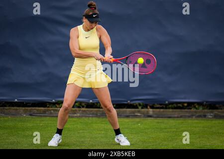 'S-HERTOGENBOSCH, PAYS-BAS - 10 JUIN : Tamara Korpatsch d'Allemagne joue un revers dans son match féminin en simple contre Donna Vekic de Croatie le jour 1 des Championnats Libema Open Grass court à l'Autotron le 10 juin 2024 à 's-Hertogenbosch, pays-Bas (photo de Rene Nijhuis/BSR Agency) crédit: BSR Agency/Alamy Live News Banque D'Images