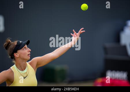 'S-HERTOGENBOSCH, PAYS-BAS - 10 JUIN : Tamara Korpatsch d'Allemagne sert dans son match de simple féminin contre Donna Vekic de Croatie le jour 1 des Championnats Libema Open Grass court à l'Autotron le 10 juin 2024 à 's-Hertogenbosch, pays-Bas (photo par Rene Nijhuis/Agence BSR) crédit : Agence BSR/Alamy Live News Banque D'Images