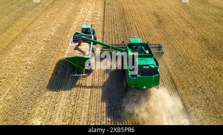 Chaco, Argentine, 22 octobre 2022 : vue aérienne de la moissonneuse-batteuse déchargeant du grain dans une remorque de chargement travaillant pendant la saison de récolte sur de grandes machines mûres Banque D'Images