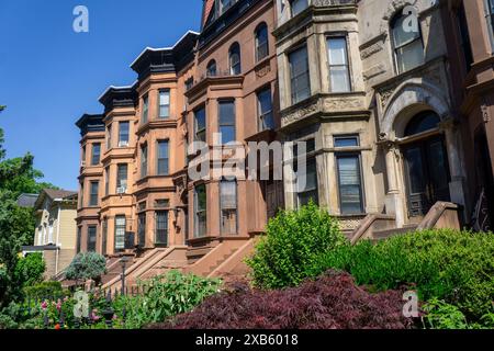 Row of Brownstone Houses, MacDonough Street, Bedford-Stuyvesant, Brooklyn, New York New York, États-Unis Banque D'Images