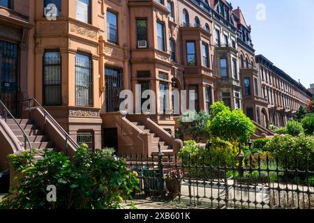 Row of Brownstone Houses, MacDonough Street, Bedford-Stuyvesant, Brooklyn, New York New York, États-Unis Banque D'Images