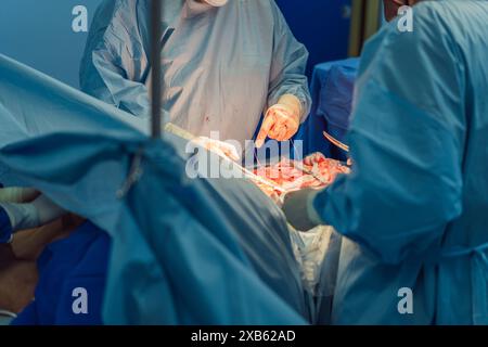 Deux médecins opérant en salle d'opération. Les chirurgiens sont concentrés et précis, entourés d’équipements médicaux de pointe. Le stérile Banque D'Images