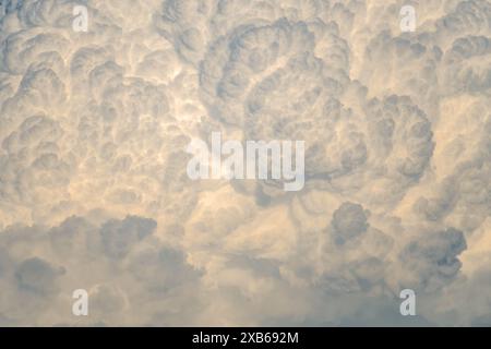 Ciel bleu de coucher de soleil avec texture de nuages rares beaux cumulus du soir à la lumière du soleil couchant pour le fond du designer Banque D'Images