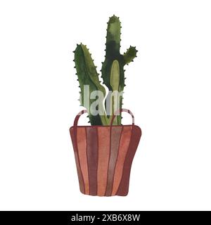 Cactus dans un panier en osier. Plantes pour la maison. Floriculture. Décoration intérieure. Illustration d'aquarelle isolée sur fond blanc. Clipart. Banque D'Images