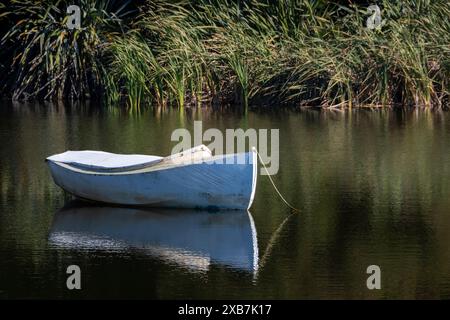 Bateau amarré dans un petit lac, plage de Waikawa, Horowhenua, Île du Nord, Nouvelle-Zélande Banque D'Images