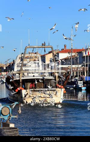 Chalutiers revenant de la pêche, entrant dans le port. Le Grau du Roi, Occitanie, France Banque D'Images