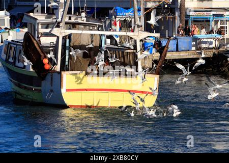 Chalutiers revenant de la pêche, entrant dans le port. Le Grau du Roi, Occitanie, France Banque D'Images