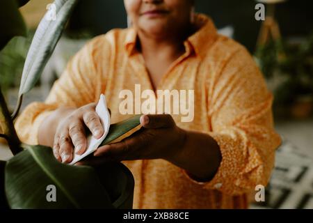 Gros plan photo mains de la femme prenant soin de la plante, arrière-plan flou Banque D'Images
