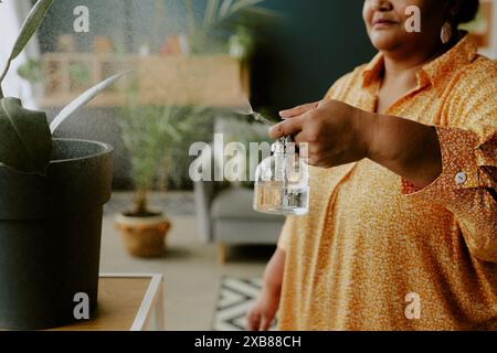 Photo moyenne en gros plan d'une femme afro-américaine arrosant une plante à l'aide d'un petit pulvérisateur en verre Banque D'Images