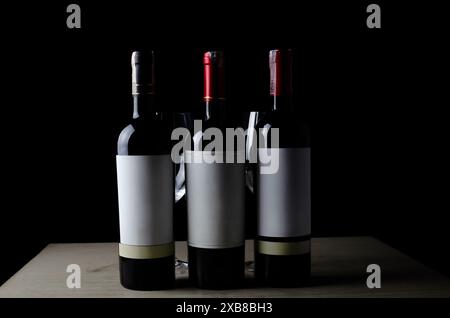 Deux bouteilles de vin rouge placées côte à côte, avec des étiquettes vides Banque D'Images