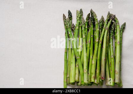 Tiges d'asperges vertes fraîches sur un fond de tissu neutre. Les lances d'asperges sont disposées dans un paquet soigné, mettant en valeur leurs pointes et vibrant gr Banque D'Images