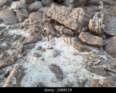 Image en gros plan de roches fracturées recouvertes de cristaux de sel sur un lit de lac sec, mettant en valeur des textures naturelles et des formations géologiques. Banque D'Images