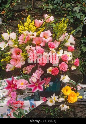 botanique, roses, eustoma grandiflorum, clématites, solidago, INFORMATIONS-AUTORISATION-DROITS-SUPPLÉMENTAIRES-NON-DISPONIBLES Banque D'Images