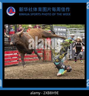 (240611) -- PÉKIN, 11 juin 2024 (Xinhua) -- PHOTO SPORTIVE DE LA SEMAINE XINHUA (du 3 au 9 juin 2024) TRANSMISE le 11 juin 2024. Un cow-boy tombe dans l'épreuve d'équitation de taureau au Ram Rodeo Tour 2024 à Brooklin, Ontario, Canada, le 2 juin 2024. (Photo de Zou Zheng/Xinhua) Banque D'Images