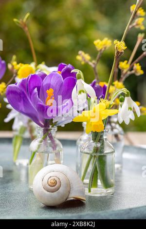 Botanique, fleur de printemps dans un petit vase en verre, ATTENTION ! POUR GREETINGCARD-USE / POSTCARD-USE DANS LES PAYS GERMANOPHONES, CERTAINES RESTRICTIONS PEUVENT S'APPLIQUER Banque D'Images