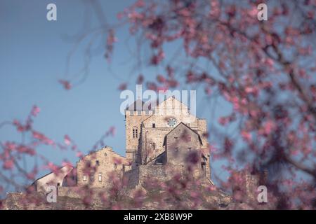 La basilique historique de Valère au printemps encadrée par des fleurs de cerisiers roses à Sion Banque D'Images