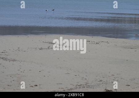 Un paysage côtier de sable pittoresque Banque D'Images