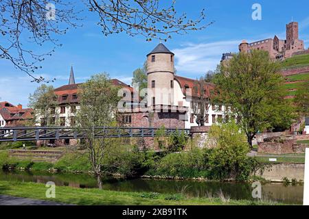 Géographie / voyage, Allemagne, Bade-Wuerttemberg, rivière Tauber, tour blanche, INFORMATIONS-AUTORISATION-DROITS-SUPPLÉMENTAIRES-NON-DISPONIBLES Banque D'Images