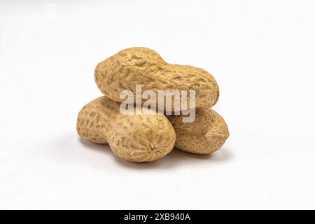 Cacahuètes dans une coquille sur un fond blanc macro Banque D'Images