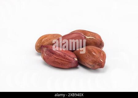 Cacahuètes dans une coquille sur un fond blanc macro Banque D'Images