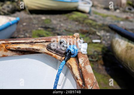 Gros plan d'un bateau rouillé avec une corde d'ancre amarré sur une rive couverte d'algues Banque D'Images