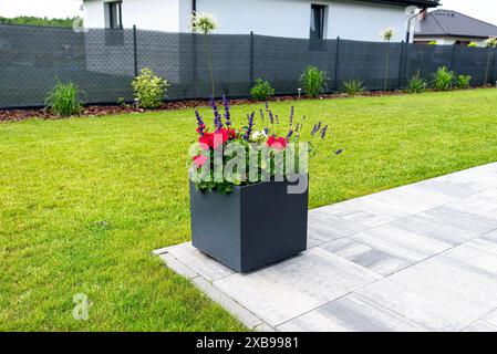 Diverses fleurs debout sur la terrasse dans un grand pot sur roues, pelouse en arrière-plan. Banque D'Images