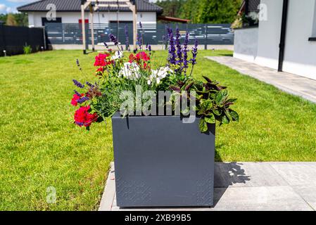 Diverses fleurs debout sur la terrasse dans un grand pot sur roues, pelouse en arrière-plan. Banque D'Images