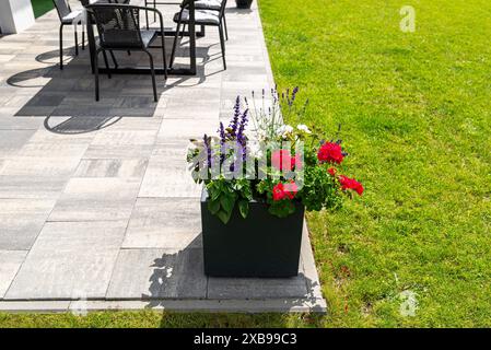 Diverses fleurs debout sur la terrasse dans un grand pot sur roues, pelouse en arrière-plan. Banque D'Images
