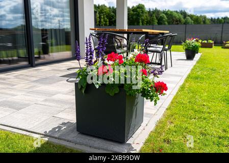 Diverses fleurs debout sur la terrasse dans un grand pot sur roues, pelouse en arrière-plan. Banque D'Images